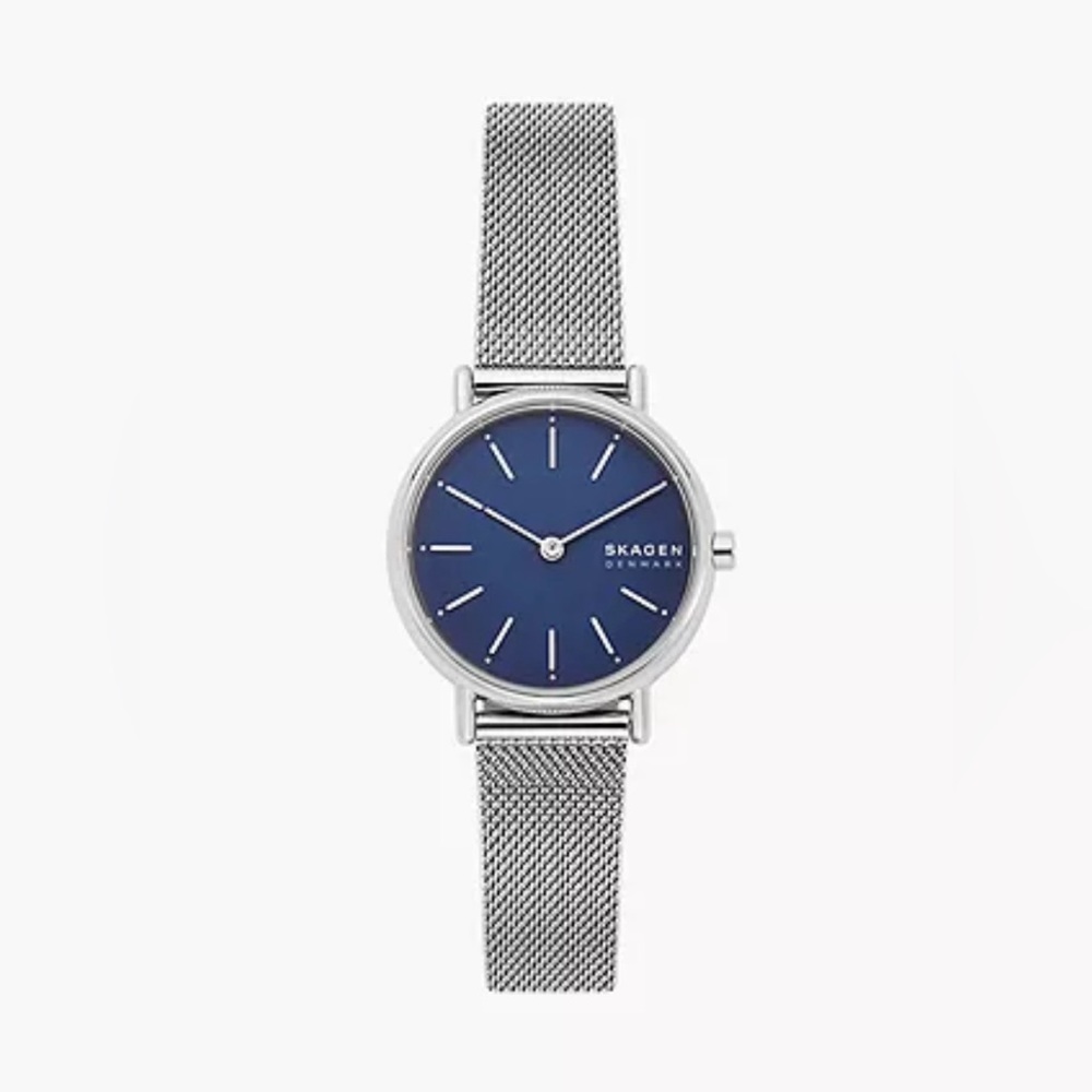 Women’s Skagen Denmark Signatur Lille Steel Mesh Watch